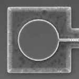 laser t