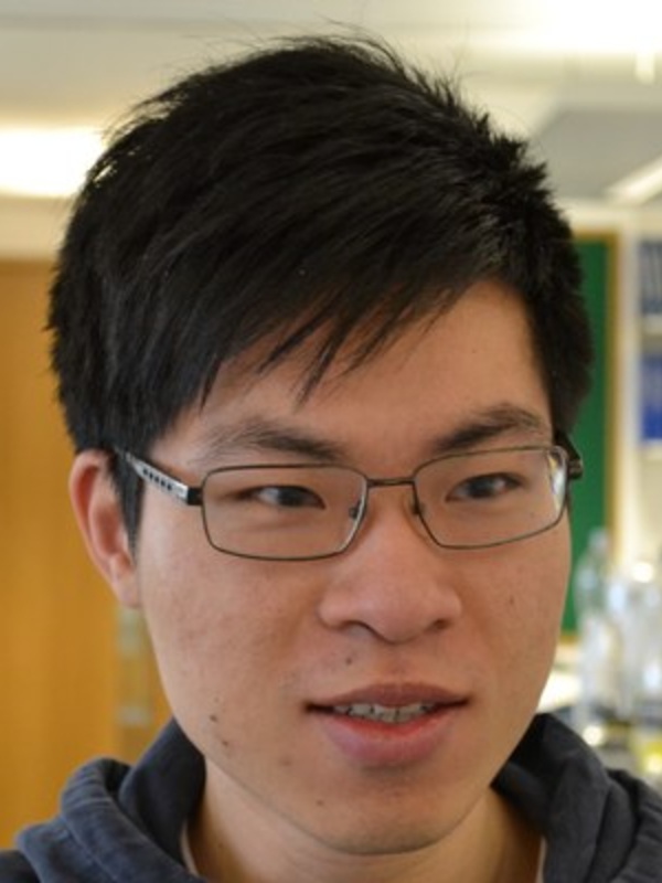 Dr Fung Sing Choi