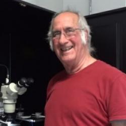 Dr Ted  Thrush