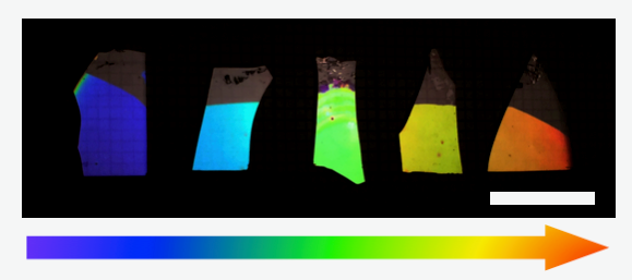 Photograph of porous DBRs, showing how the colour can be tuned across the visible range. This demonstrates only some of the large variation in control we have over the structure using this method.